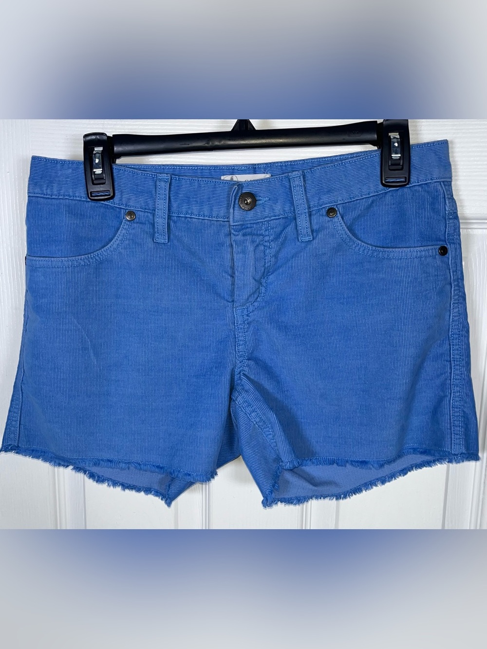 Carve Designs Women’s Oahu Corduroy Shorts Blue Casual Organic Cotton Size 2